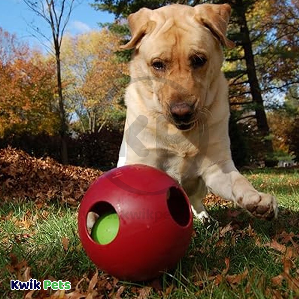 Jolly Pet Teaser Ball Dog Toy Red Large 8-in