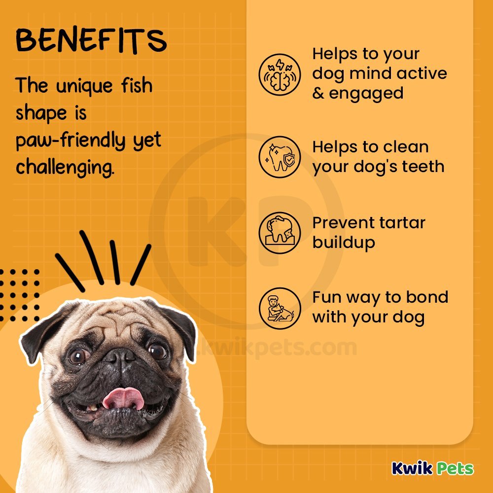 Benebone Jack Salmon Fishbone Dog Chew Toy Small