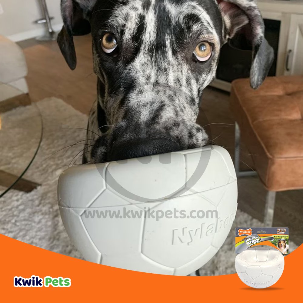 Nylabone Power Play Soccer Gripz Dog Toy Medium/Wolf - Up To 35 lbs