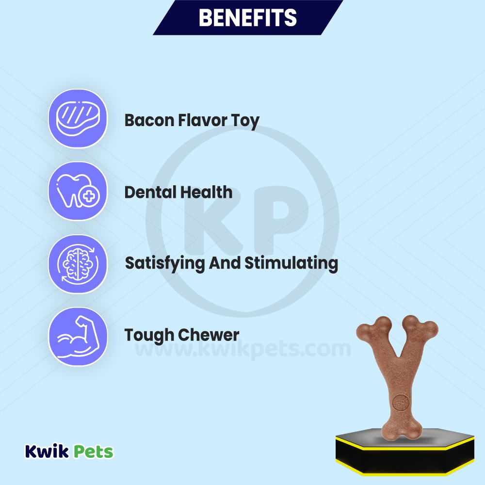 Spot Bam-Bones Wish Bone Dog Chew Toy Bacon Large 7-in