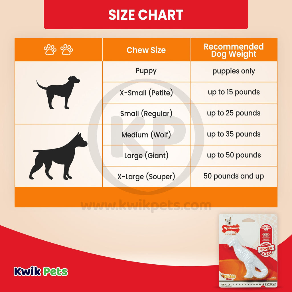 Nylabone Power Chew Dental Dinosaur Dog Toy Chicken White Small/Regular - Up To 25 Ibs