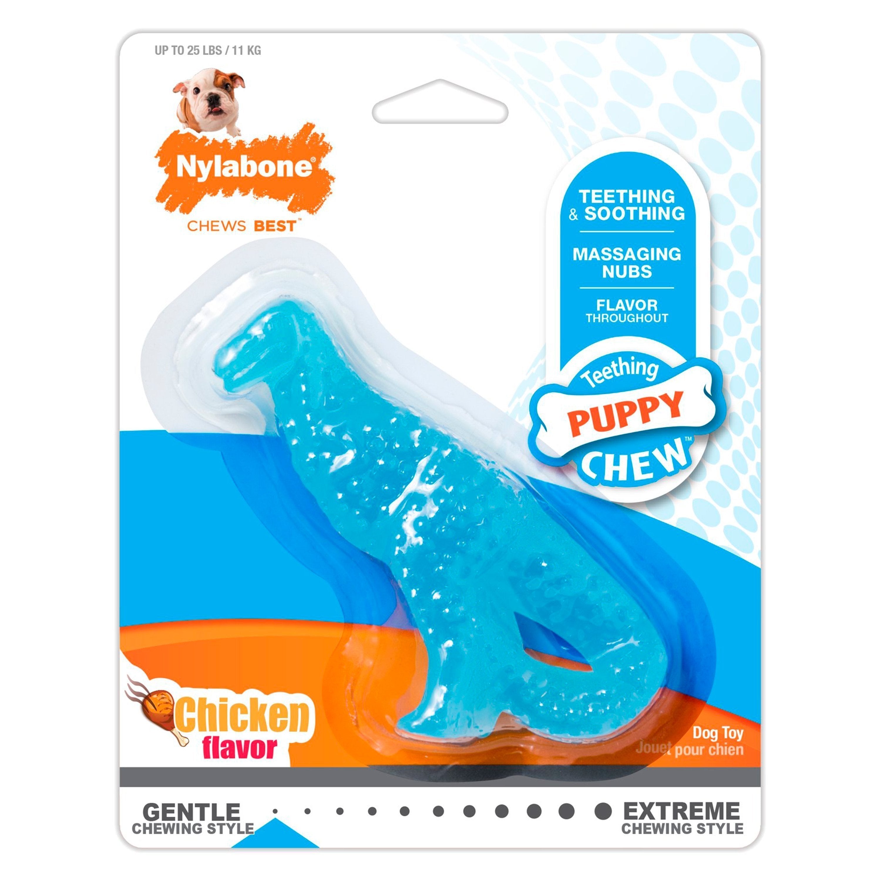 Nylabone Puppy Chew Dental Dinosaur Toy for Teething Chicken Flavor Small/Regular - Up To 25 Ibs