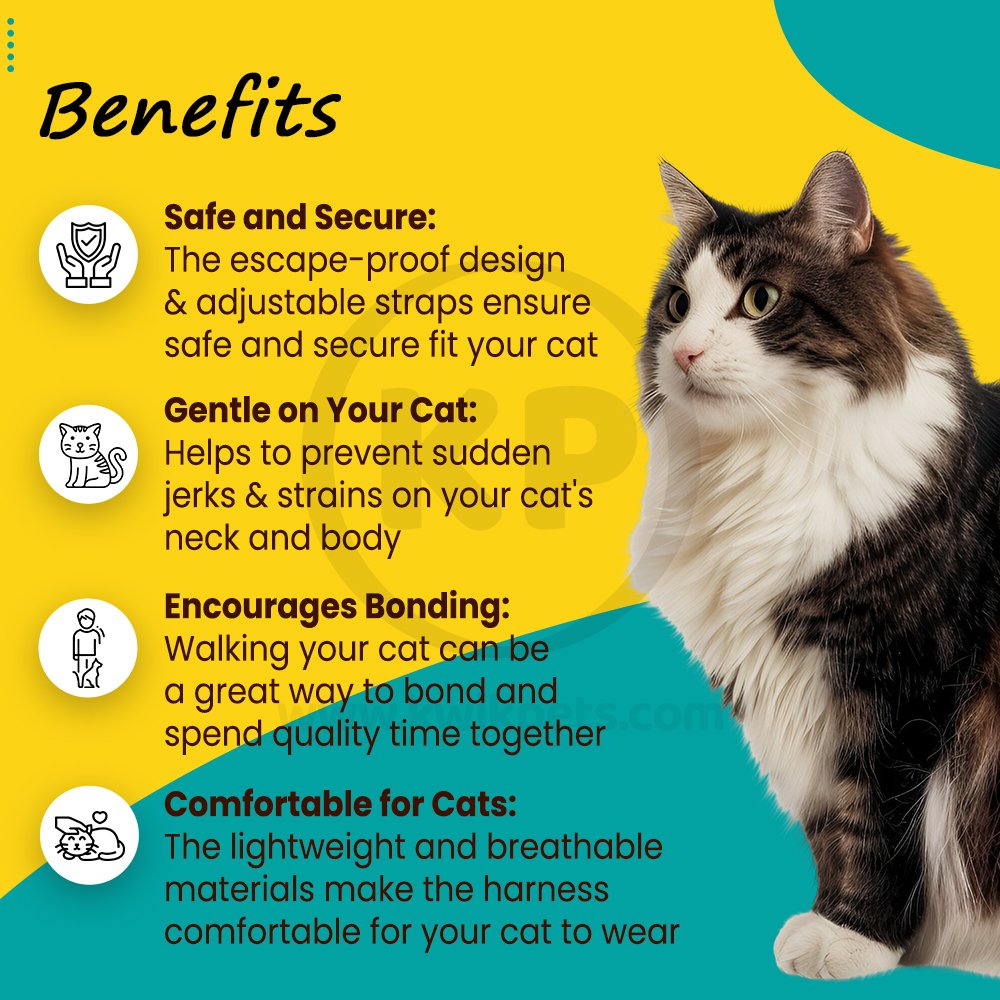 PetSafe Premier Come With Me Kitty Harness & Bungee Leash Combo Black/Silver Large