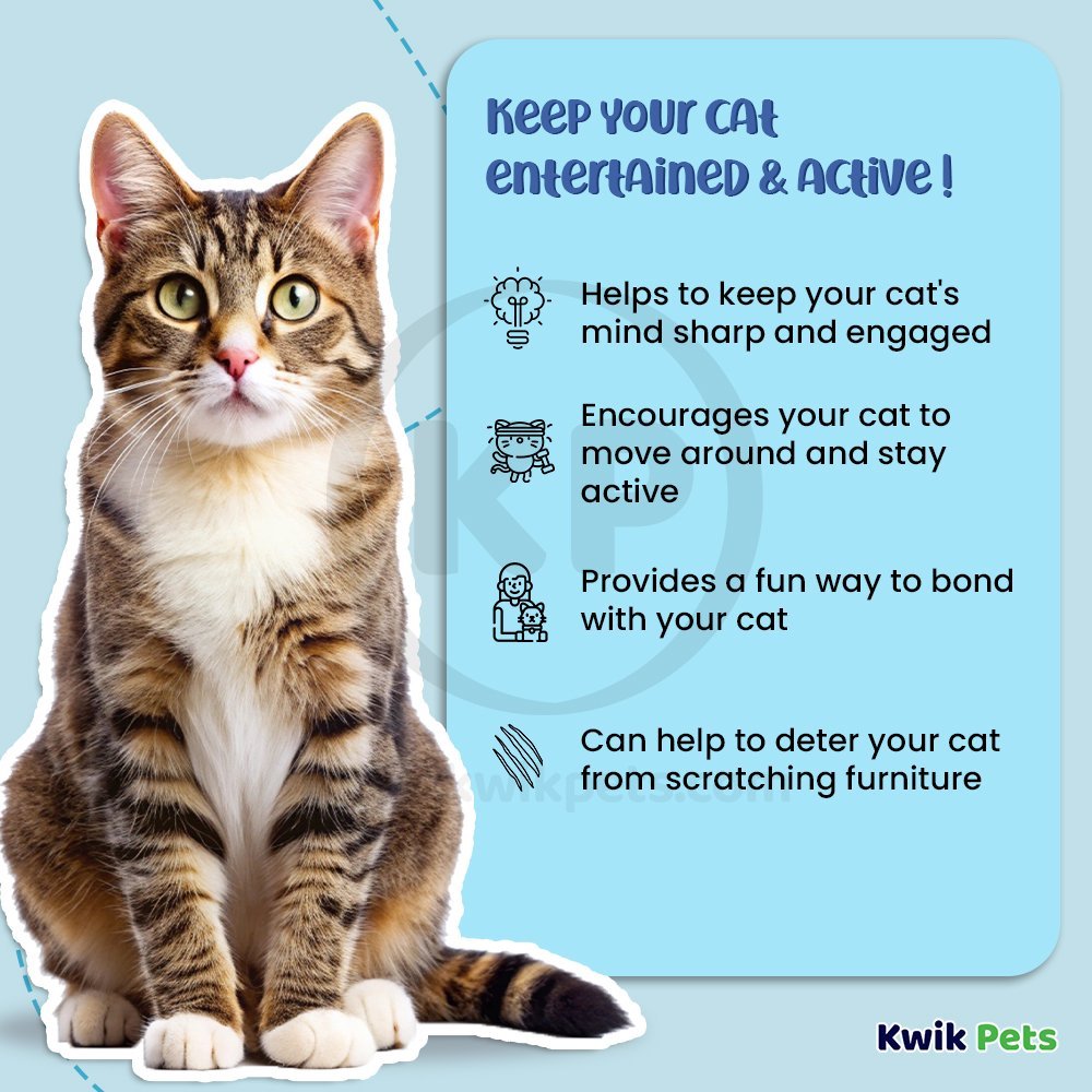 Bergan Star Chaser Catnip Toy Assorted