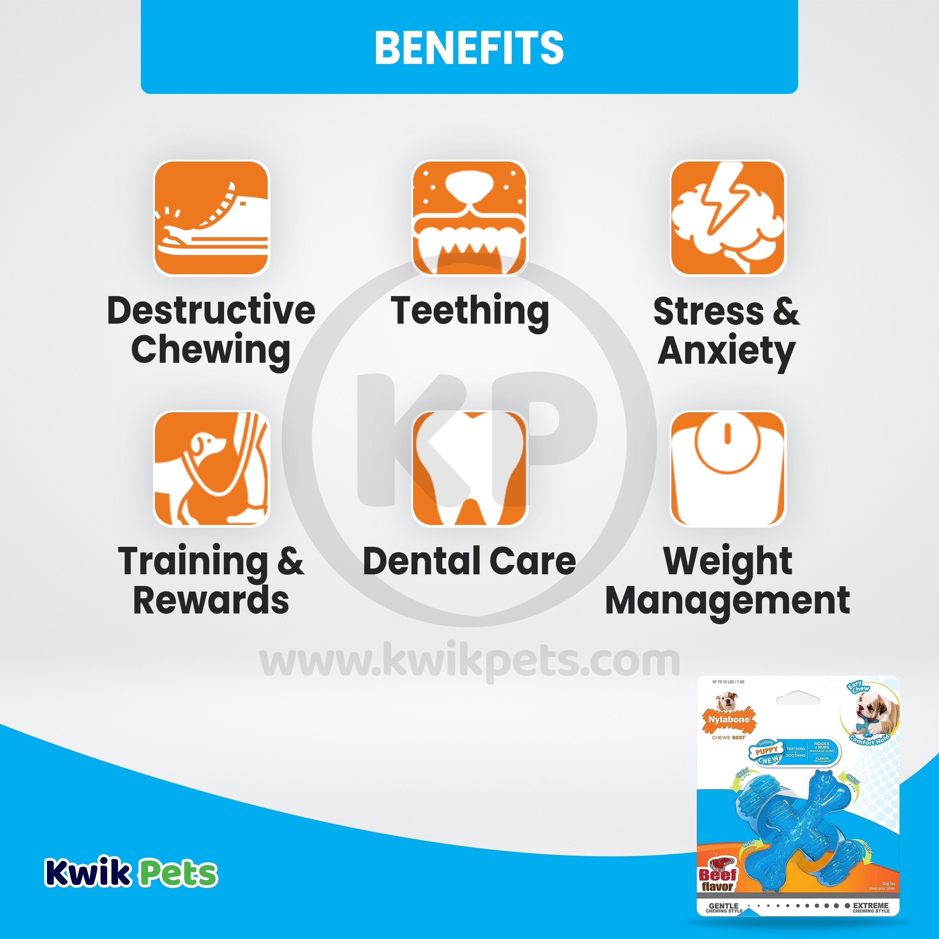 Nylabone Puppy Chew X Bone Chew Toy Beef Small/Regular - Up To 25 Ibs