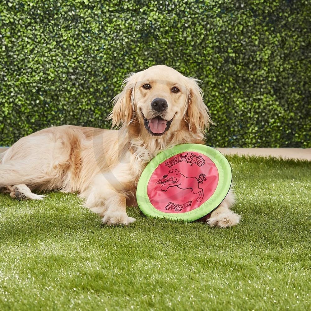 Booda Tail Spin Flyer Dog Toy Multicolor 10-in