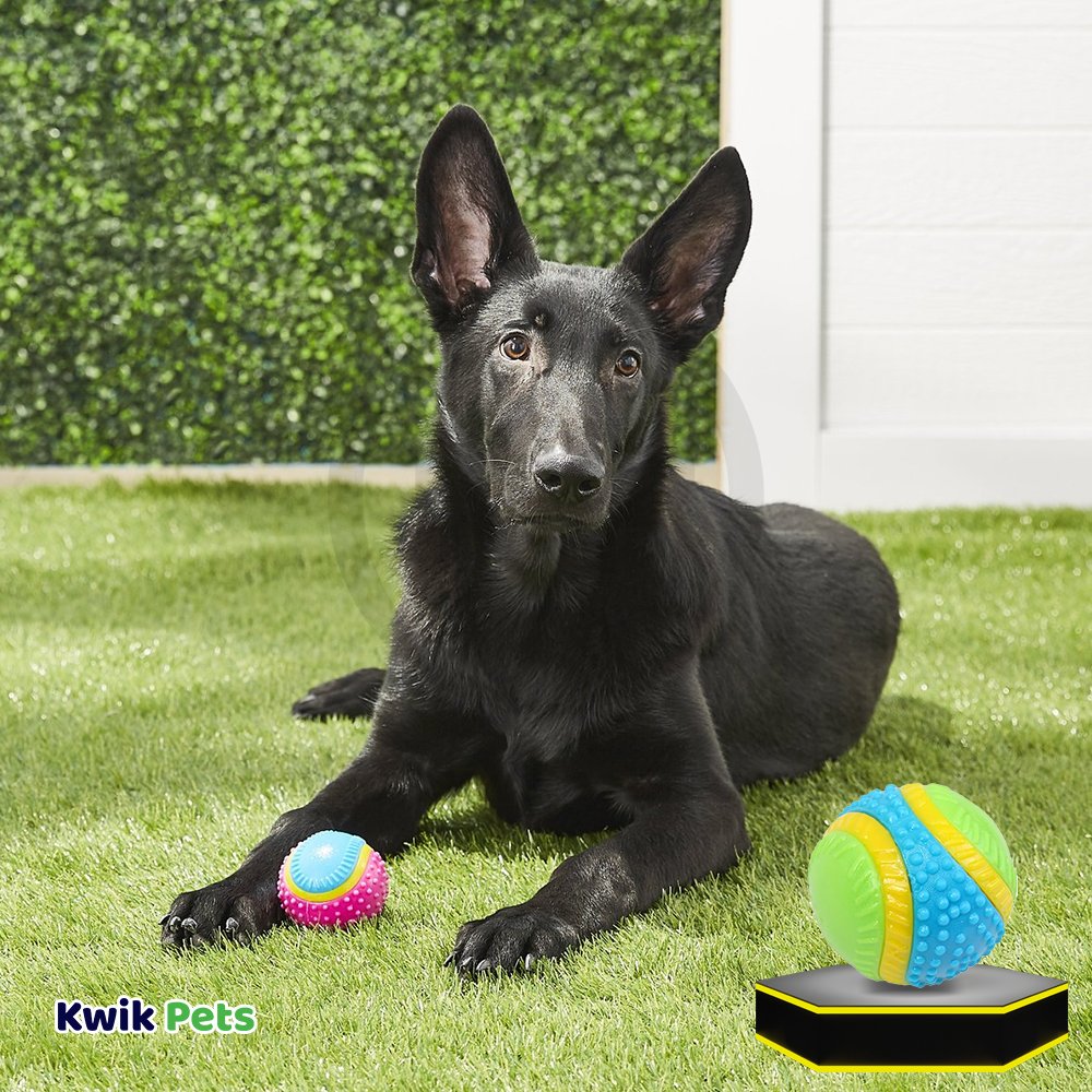 Spot Sensory Ball Dog Toy Assorted Small 2.5-in