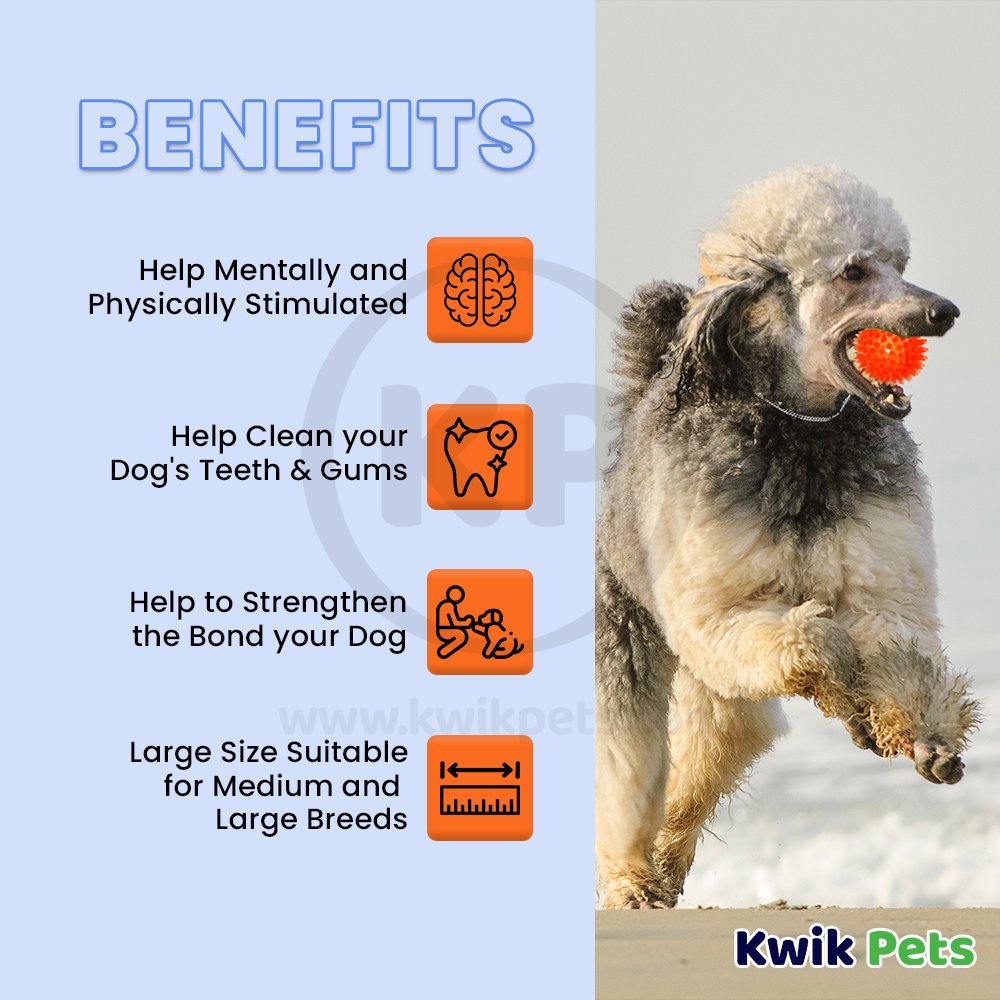 Petsport USA Gorilla Ball Dog Toy Assorted Large 4-in