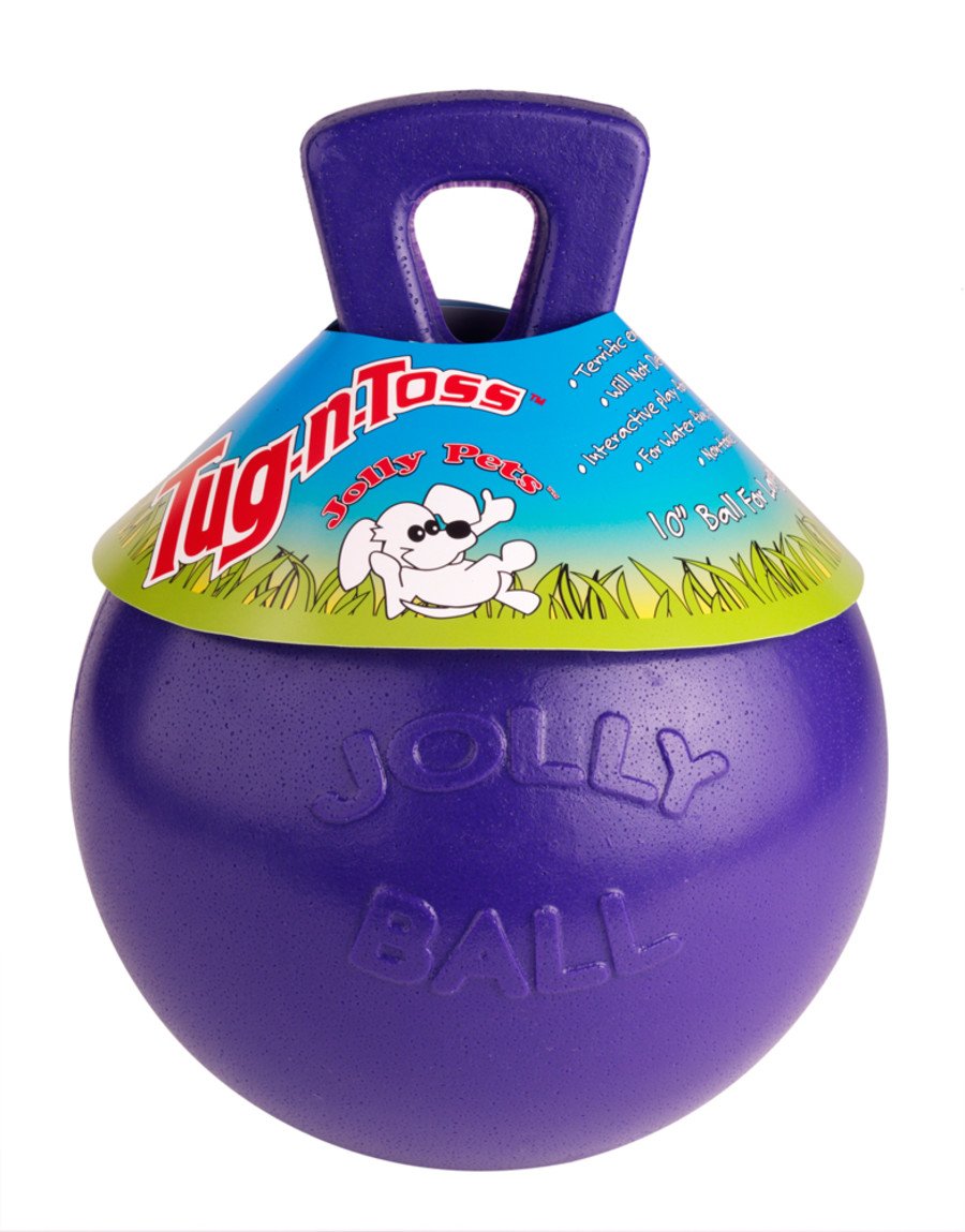 Jolly Pet Tug-n-Toss Dog Toy Purple Medium 6-in