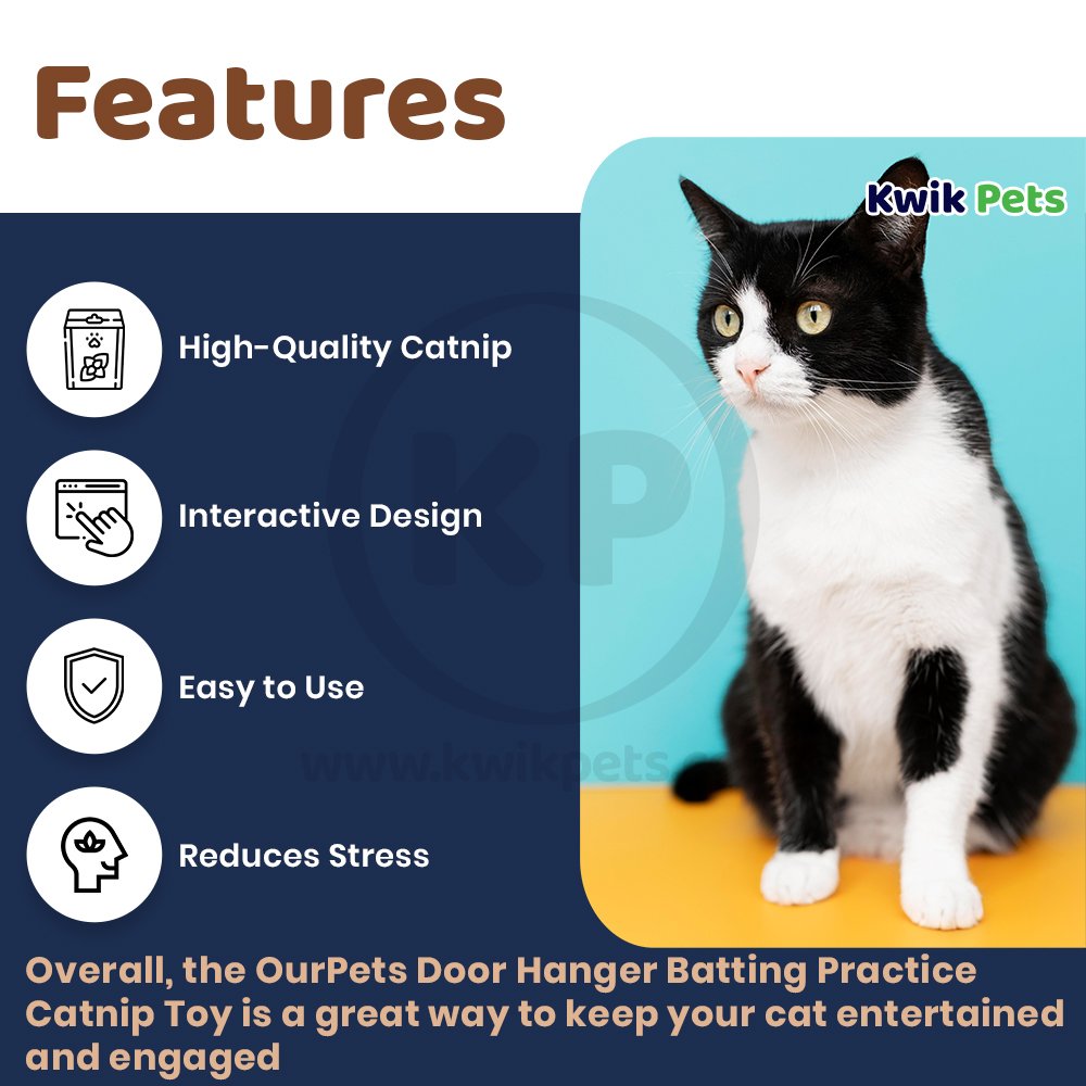 OurPets Door Hanger Batting Practice Catnip Toy Brown One Size