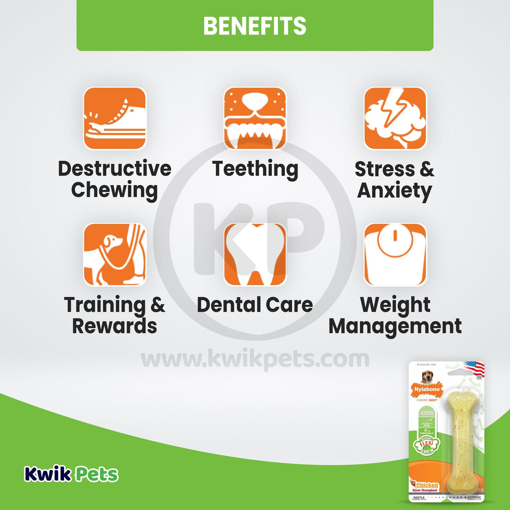 Nylabone Moderate Chew Dog Toy Chicken Medium/Wolf - Up To 35 lbs