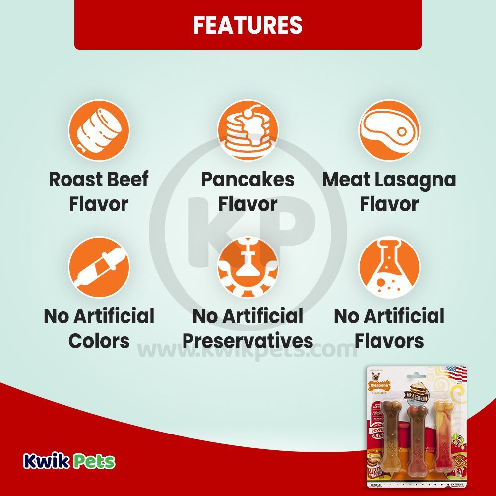 Nylabone Flavor Frenzy Power Chew Dog Toy Triple Pack Pancakes & Sausage, Roast Beef Club, & Lasagna XS/Petite - Up To 15 lbs 3 Count