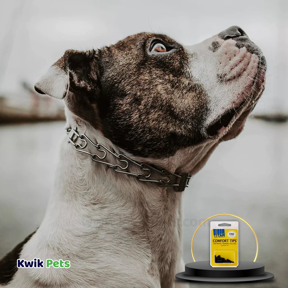 Coastal Titan Vinyl Comfort Tips for Prong Training Dog Collar Fine Black 2 mm 20 Count