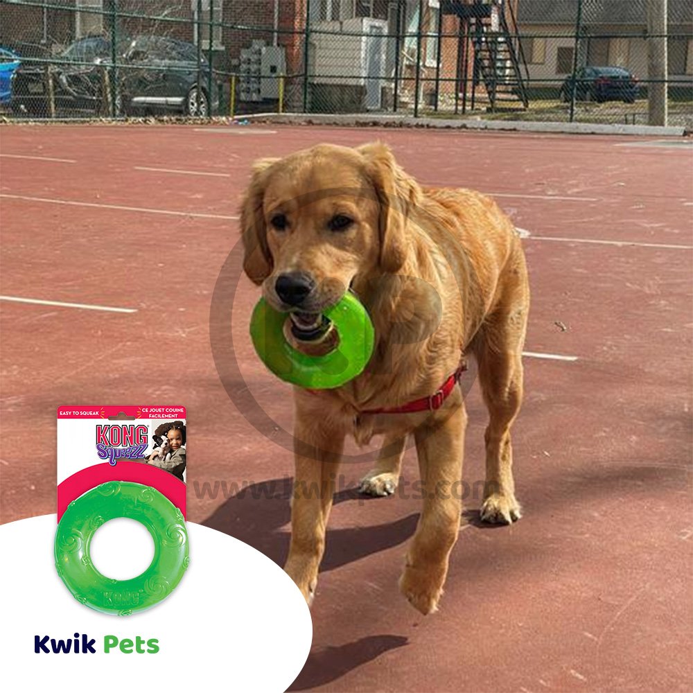 KONG Squeezz Ring Dog Toy Assorted Large