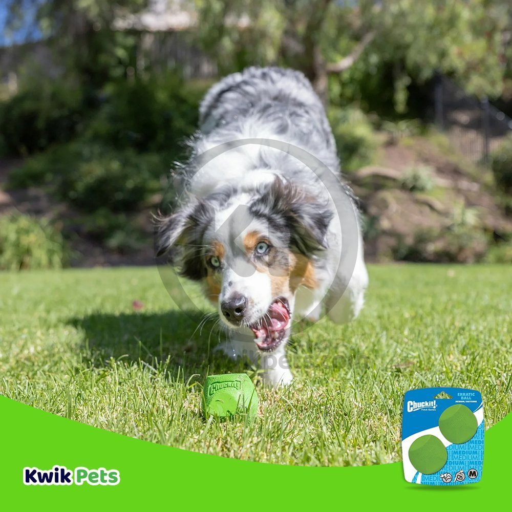 Chuckit! Erratic Ball Dog Toy Green Medium 2 Count