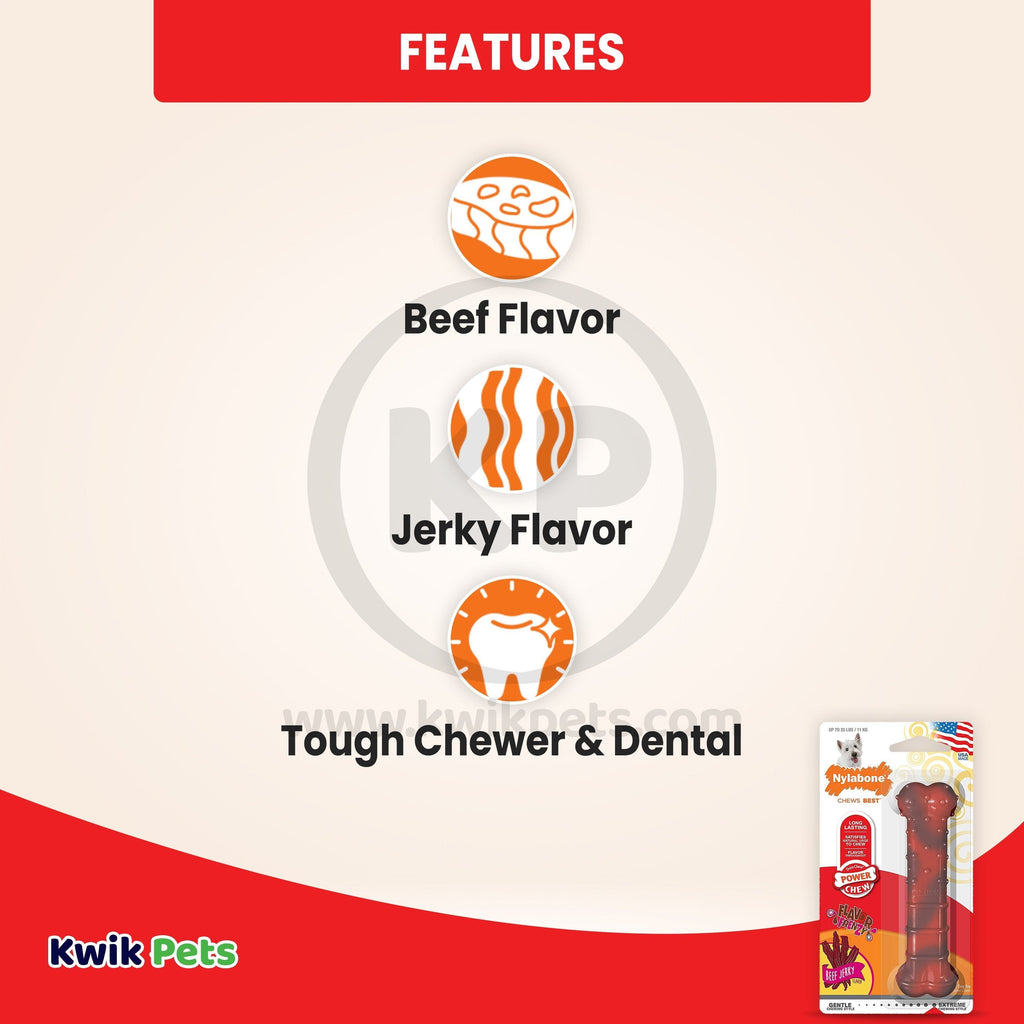 Nylabone Flavor Frenzy Power Chew Durable Dog Toy Beef Jerky Small/Regular - Up To 25 Ibs