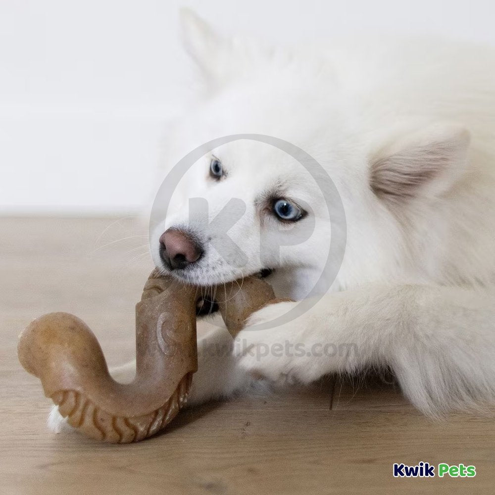 Benebone Beef Tripe Bone Dog Chew Toy Large