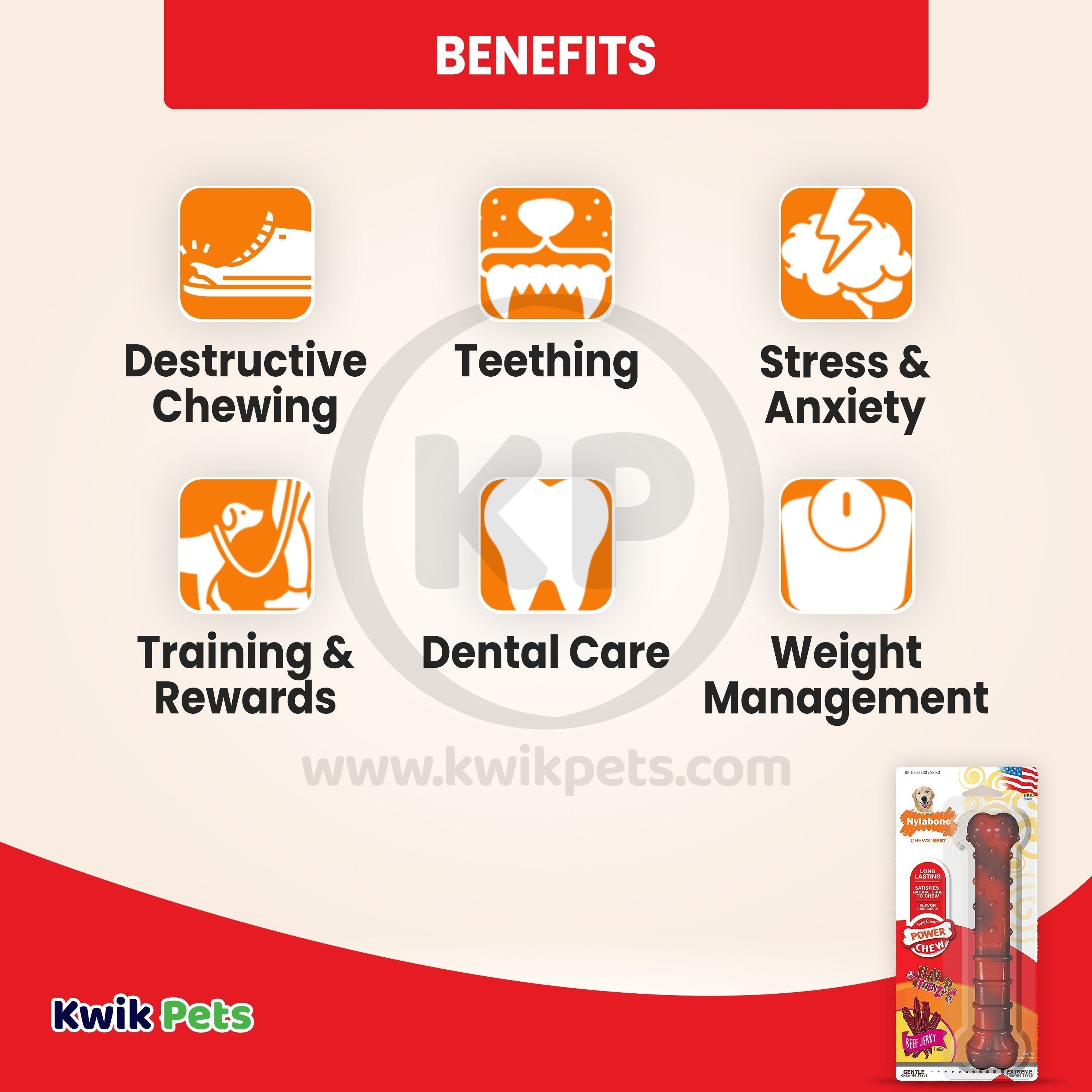 Nylabone Flavor Frenzy Power Chew Durable Dog Toy Beef Jerky Large/Giant - Up To 50 lbs