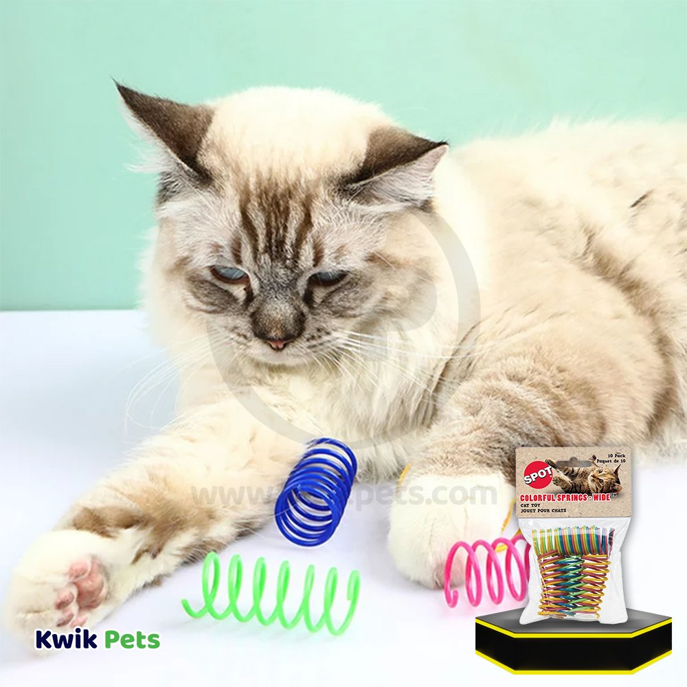 Spot Wide Colorful Springs Cat Toy Assorted 10 Count 2-in