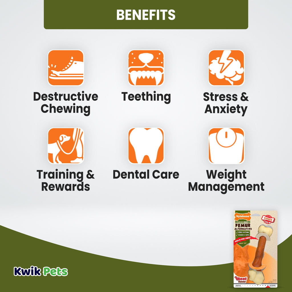 Nylabone Power Chew Femur Bone Alternative Dog Toy Beef Large/Giant - Up To 50 lbs