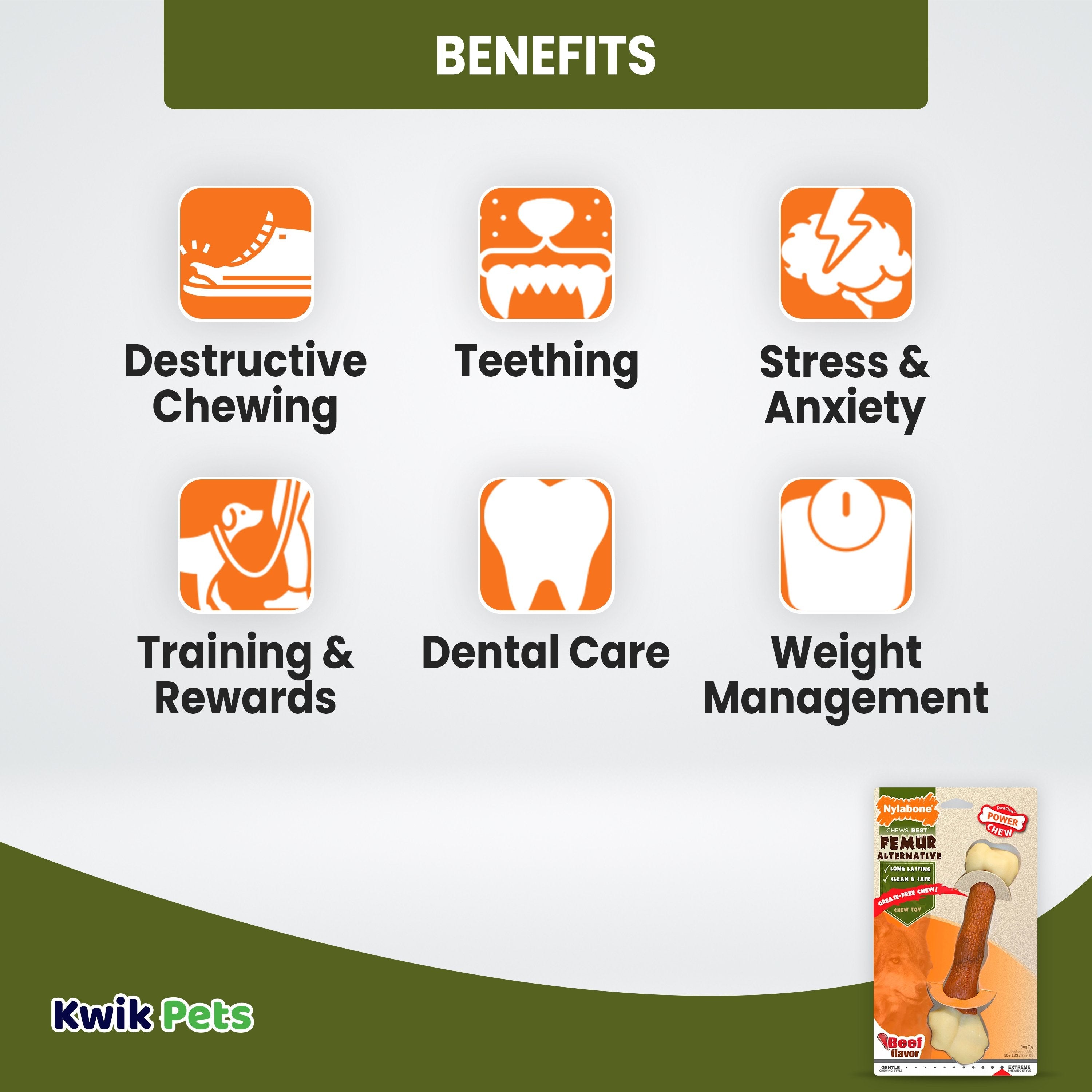 Nylabone Power Chew Femur Bone Alternative Dog Toy Beef Large/Giant - Up To 50 lbs