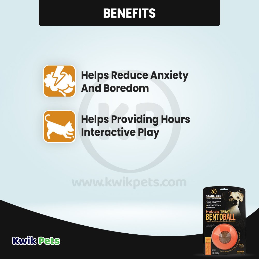 Starmark Bento Ball Dog Toy Orange Medium