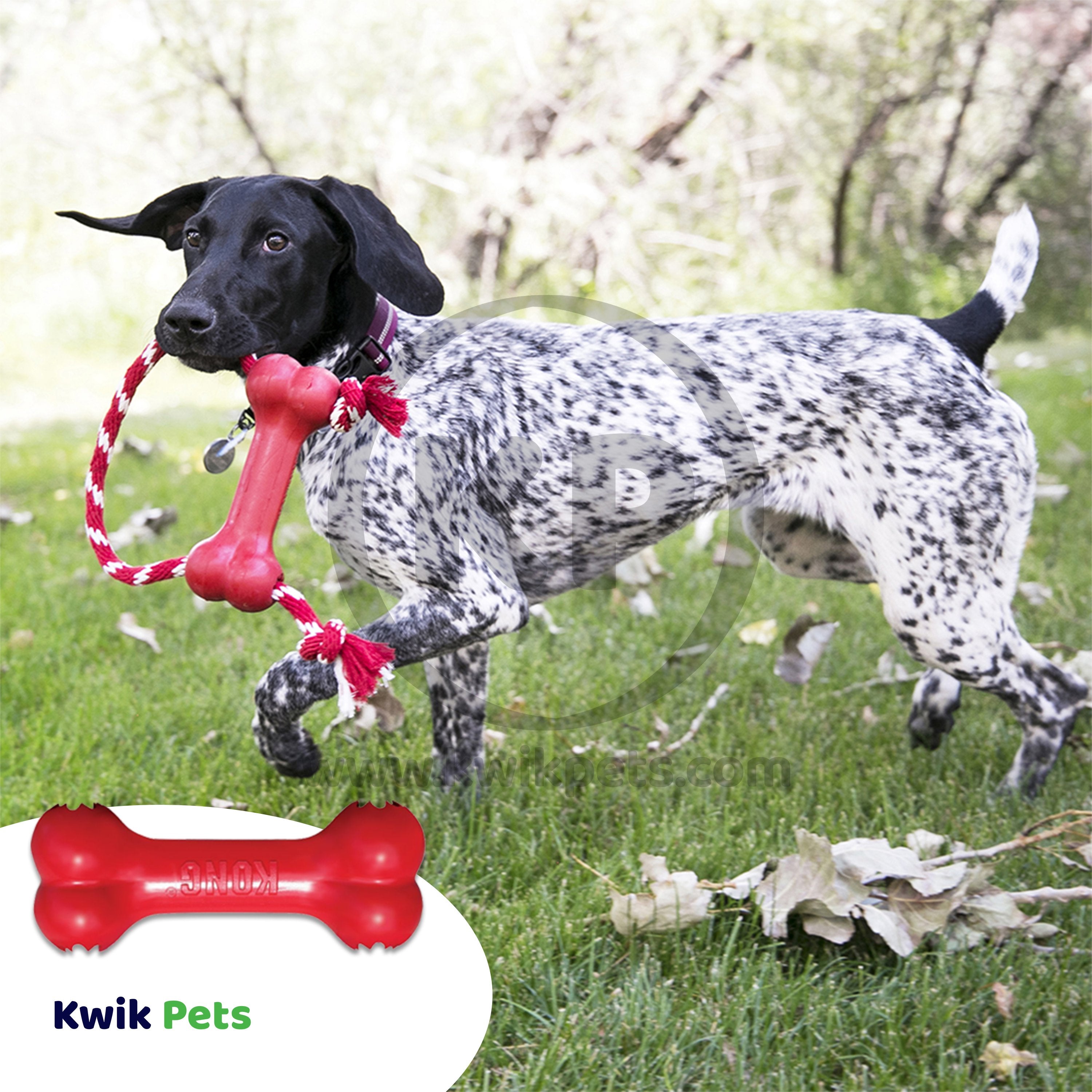 KONG Goodie Bone Dog Toy Medium