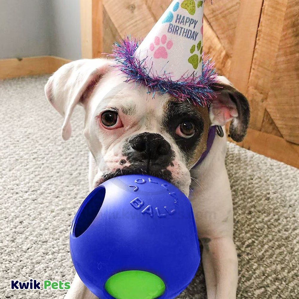 Jolly Pet Teaser Ball Dog Toy Blue Medium 6-in