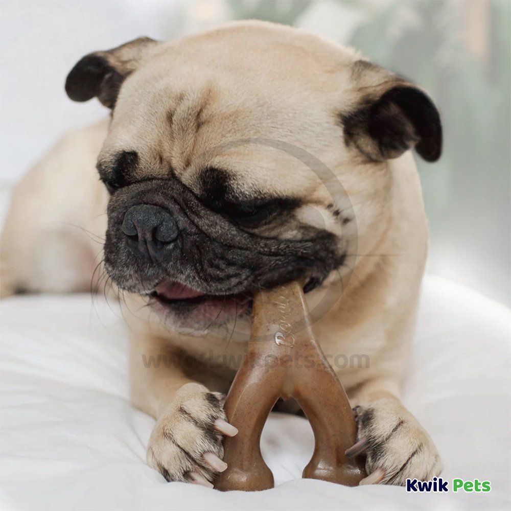 Benebone Wishbone Dog Chew Toy Bacon Small