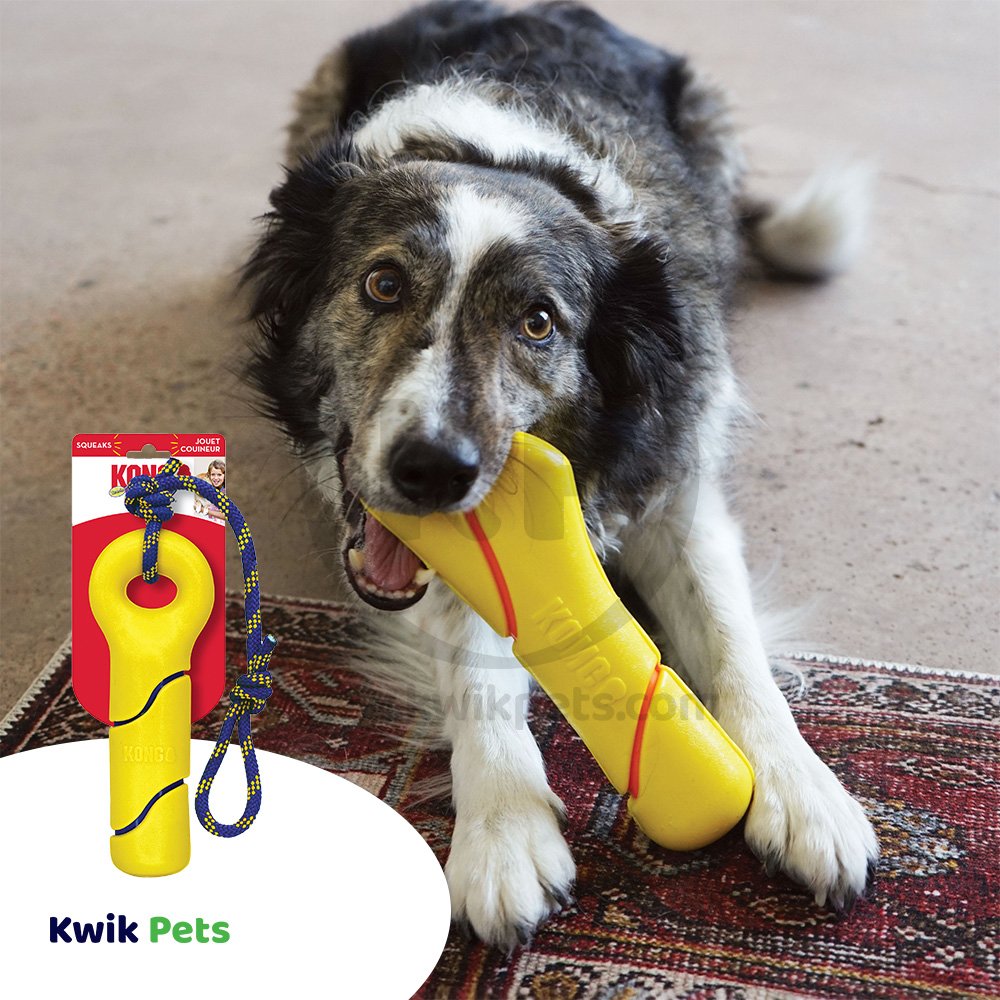 KONG Squeezz Tennis Buoy with Rope Dog Toy Yellow Large