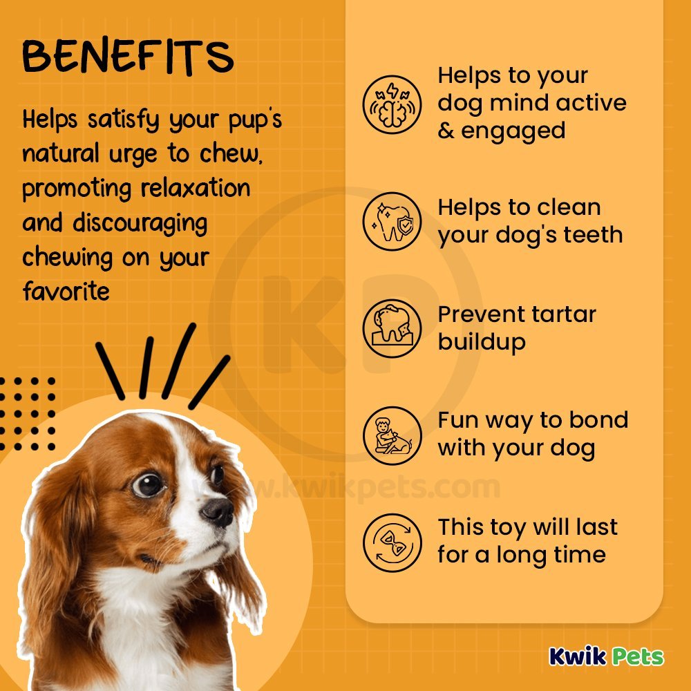 Benebone Wishbone Dog Chew Toy Bacon Small