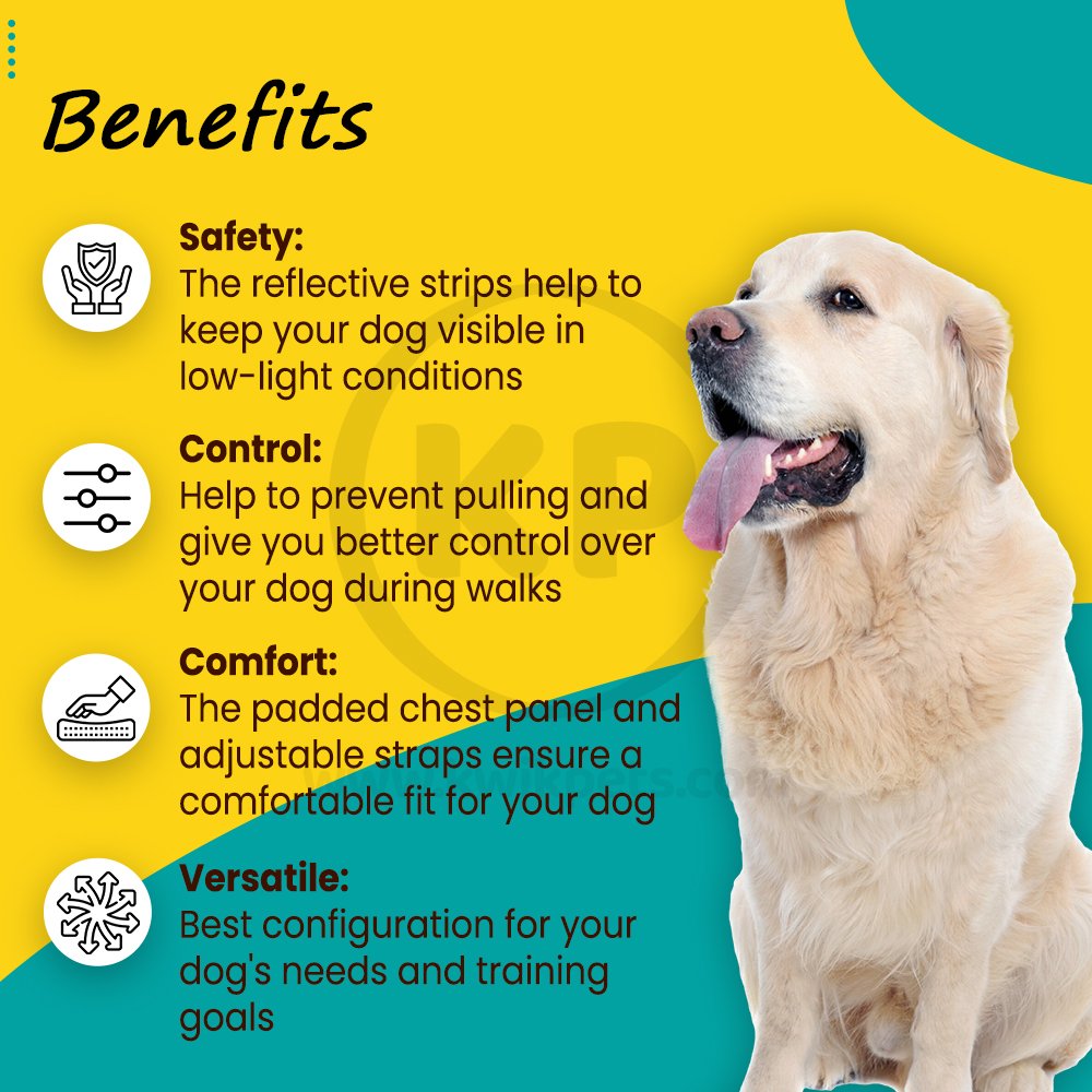 PetSafe 3-in-1 Reflective Dog Harness with Car Control Strap Black Large