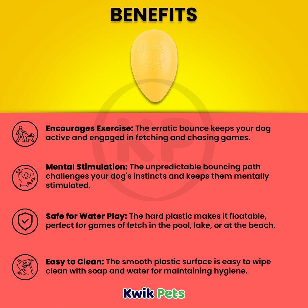 Jolly Pet Egg Hard Plastic Dog Toy Yellow Large 12-in