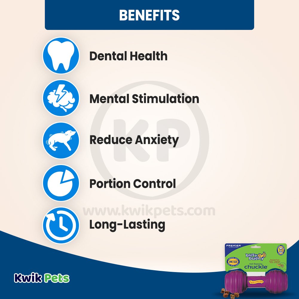 Busy Buddy Treat-Dispensing Chuckle Dog Toy Purple Medium/Large