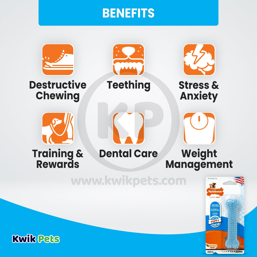 Nylabone Puppy Teething & Soothing Flexible Chew Toy Chicken Flavor Blue XS/Petite - Up To 15 lbs