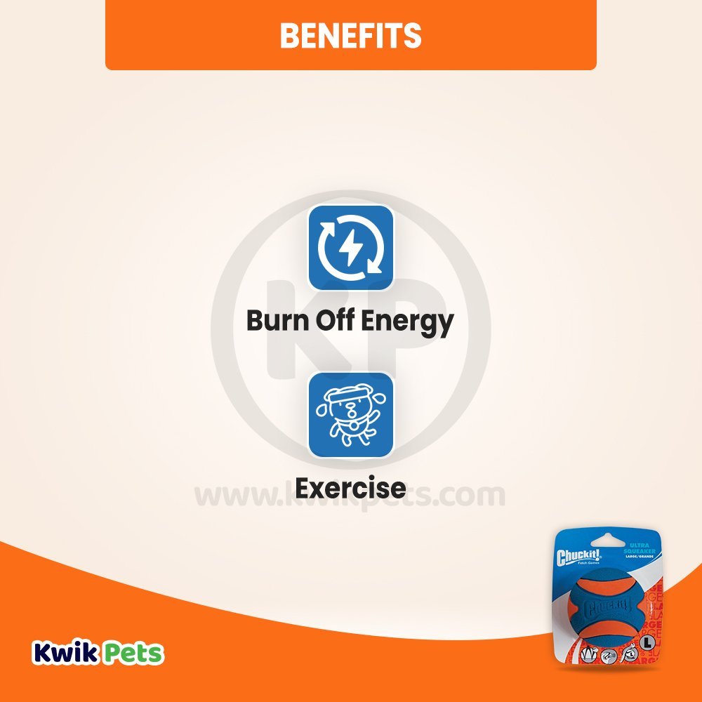 Chuckit! Ultra Squeaker Ball Dog Toy Large