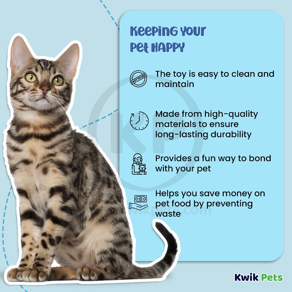 Bergan Catnip Cyclone Interactive Cat Toy