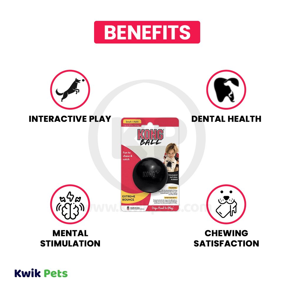 KONG Extreme Ball Dog Toy Black Small