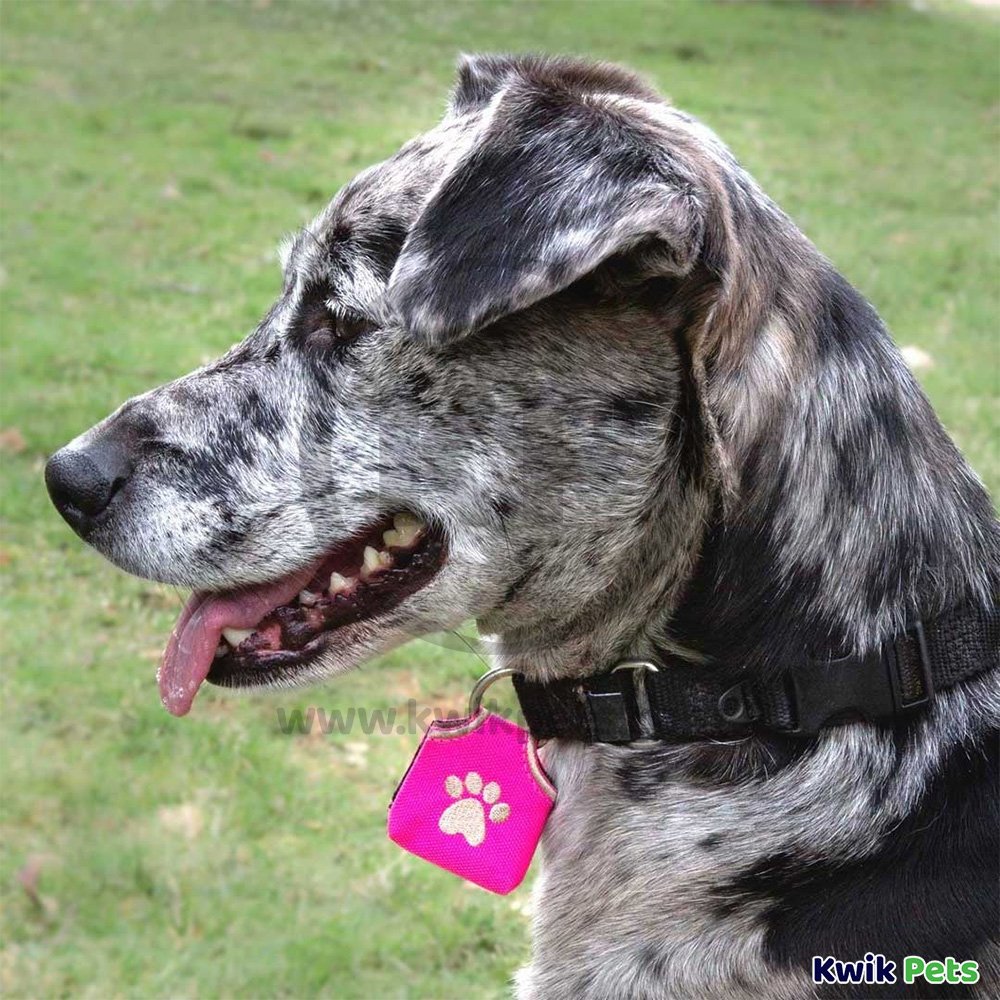 Woof Hoof Dog Tag Silencer Purple