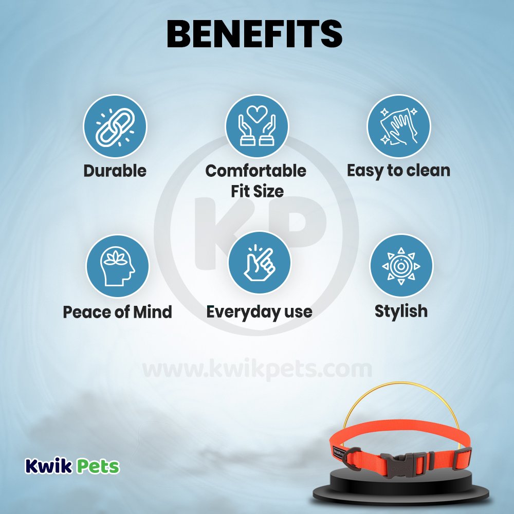 Coastal Water & Woods Adjustable Dog Collar Safety Orange 18-26 in