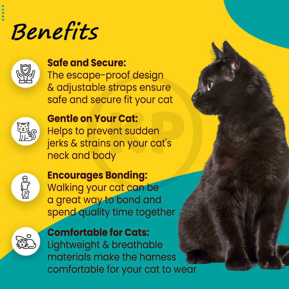 PetSafe Premier Come With Me Kitty Harness & Bungee Leash Combo Red/Cranberry Medium