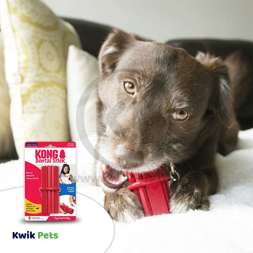 KONG Dental Stick Chew Dog Toy Large