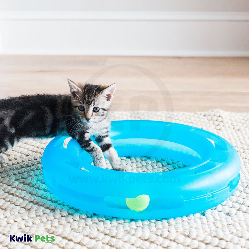 Fat Cat Crazy Circle Catnip Toy Blue Small