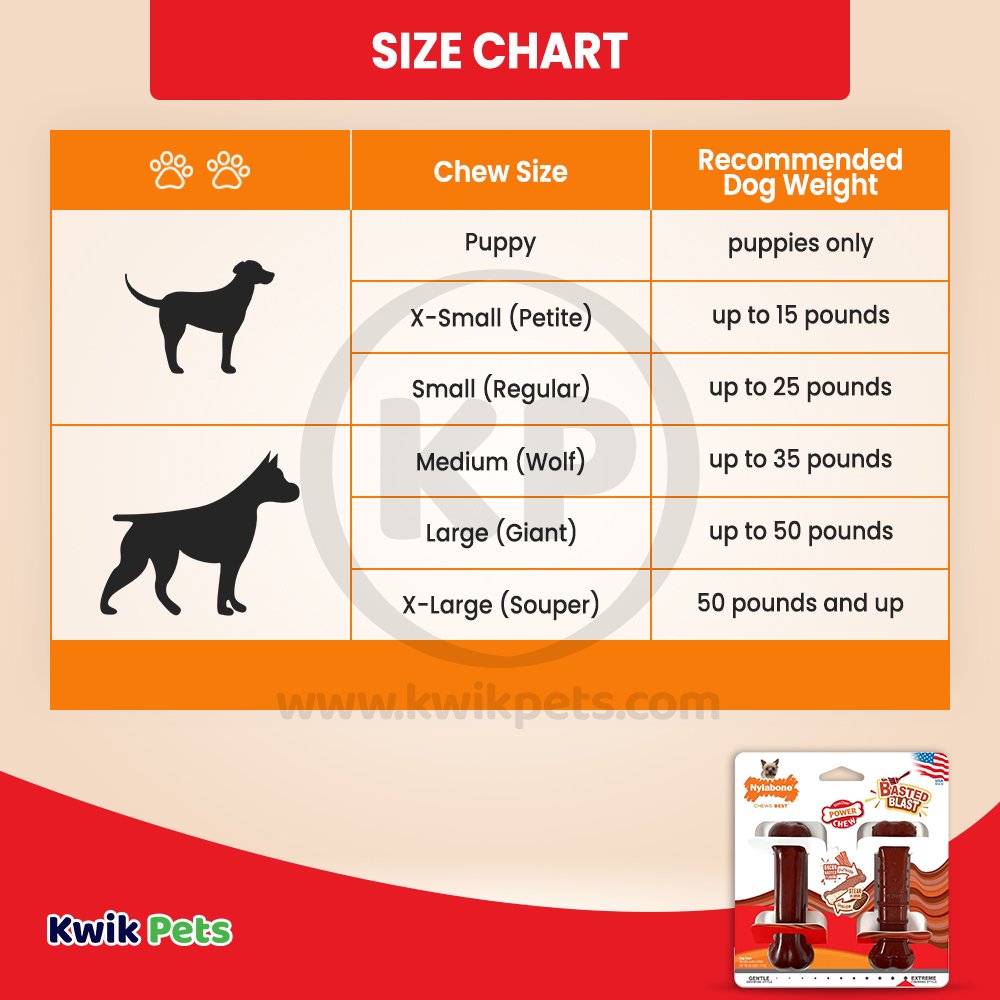 Nylabone Power Chew Basted Blast Dual Flavored Dog Toys Bacon & Steak XS/Petite - Up To 15 lbs 2 Count