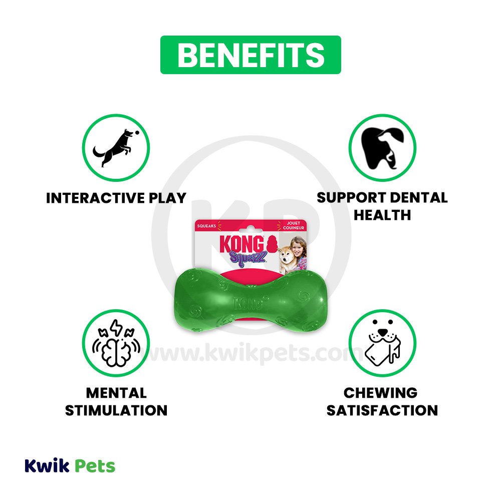 KONG Squeezz Dumbbell Dog Toy Assorted Large