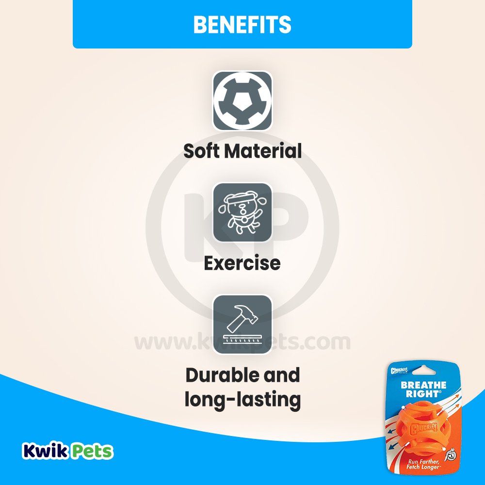 Chuckit! Breathe Right Fetch Ball Dog Toy Orange Large