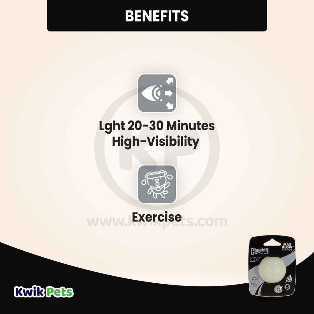 Chuckit! Max Glow Ball Dog Toy Small