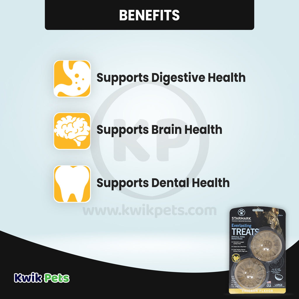 Starmark Everlasting Dog Treat Bento Ball Dog Chew Toy Large