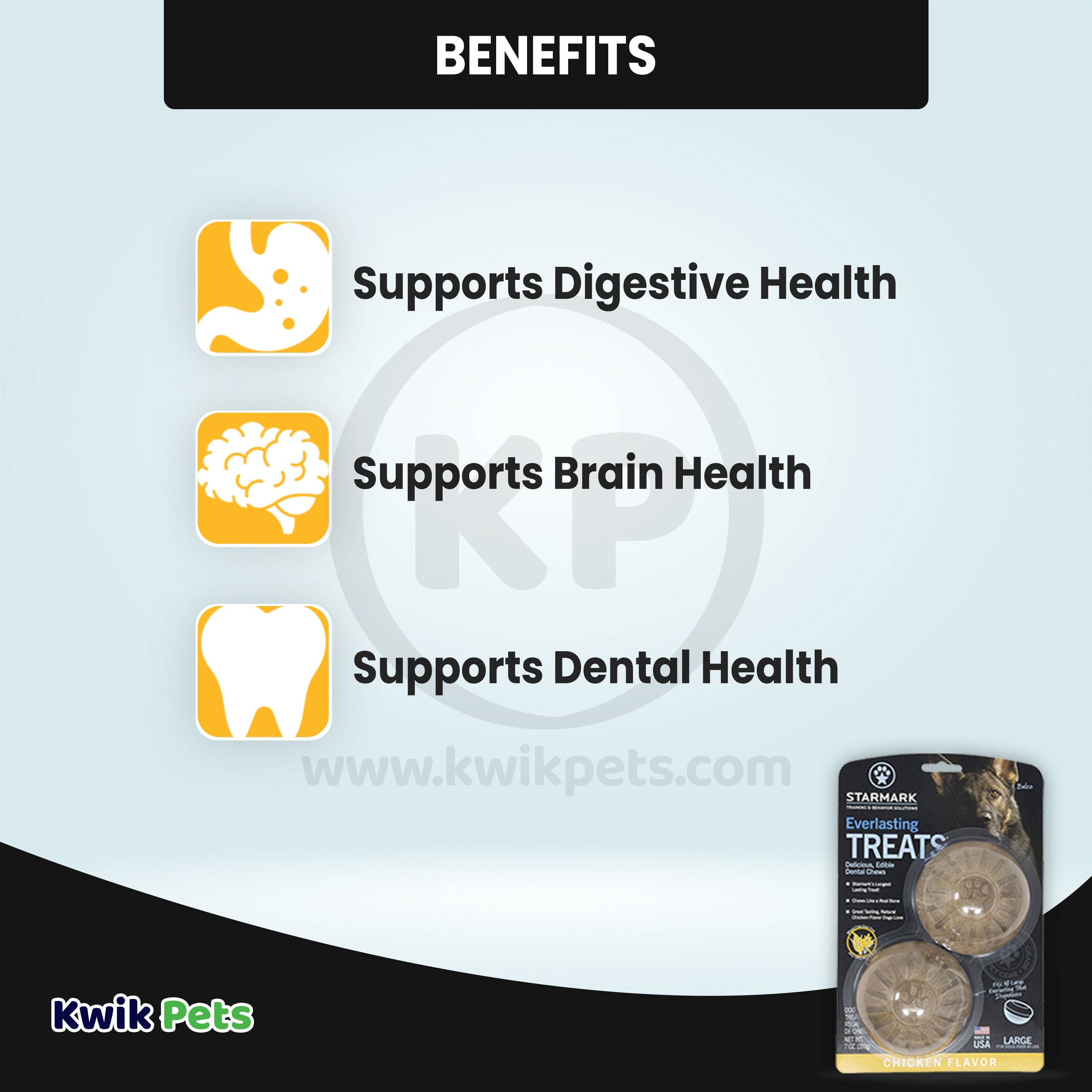 Starmark Everlasting Dog Treat Bento Ball Dog Chew Toy Large