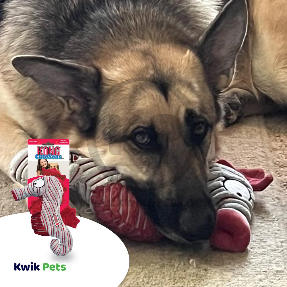 KONG CuteSeas Seahorse Dog Toy Medium